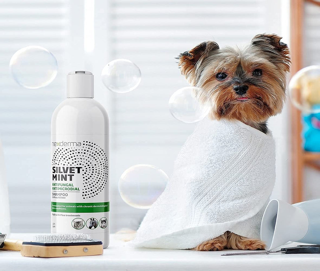Tearless Hypoallergenic Coconut Oil Pet Shampoo 16oz Q83712