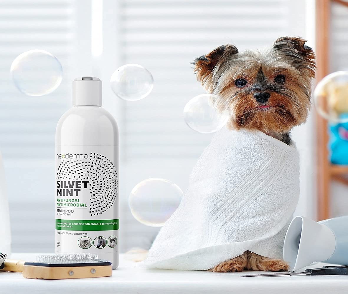 Tearless Hypoallergenic Coconut Oil Pet Shampoo 16oz Q83712