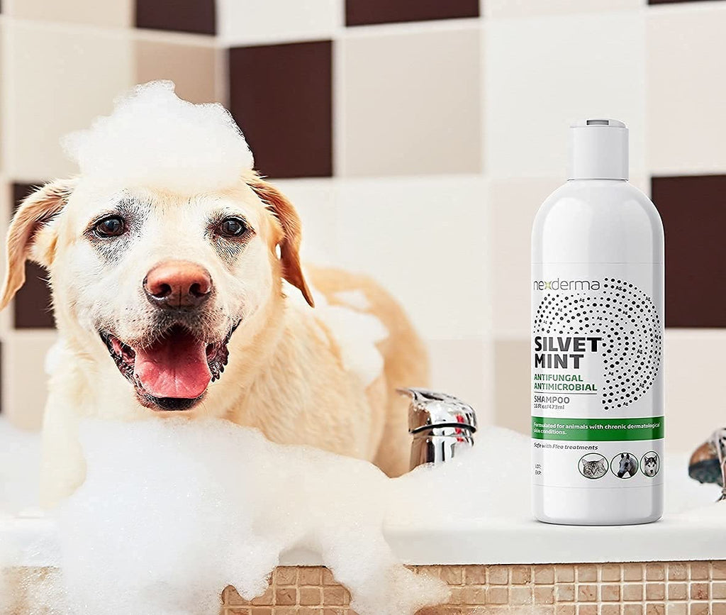 Tearless Hypoallergenic Coconut Oil Pet Shampoo 16oz Q83712
