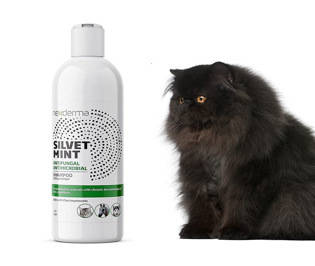 Tearless Hypoallergenic Coconut Oil Pet Shampoo 16oz Q83712