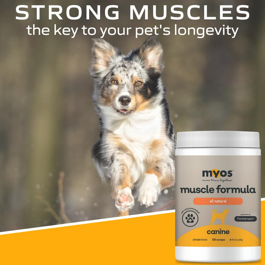 All-Natural Dog Muscle Formula 360g L306