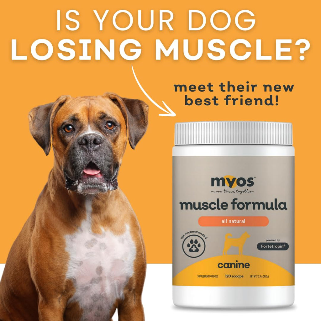 All-Natural Dog Muscle Formula 360g L306