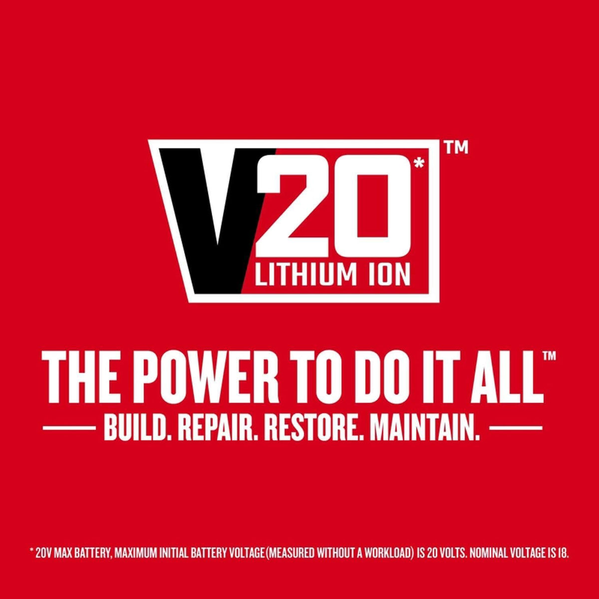 Lithium Ion Power Tool Battery 2-Pack N6739