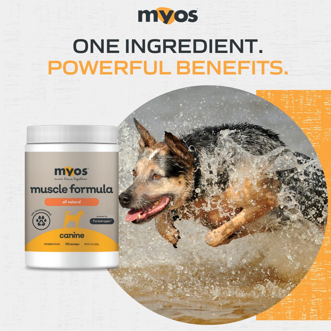 All-Natural Dog Muscle Formula 360g L306