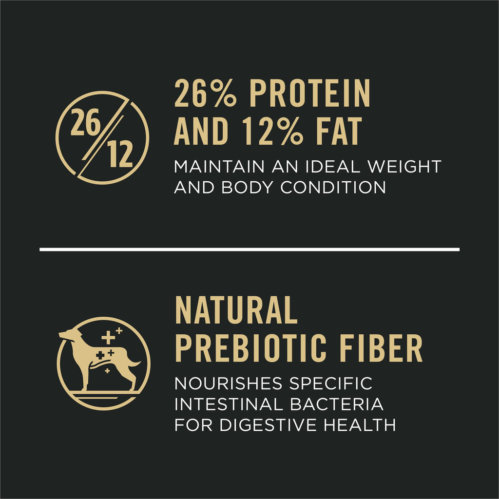 Chicken & Rice Dry Dog Food 34 lb Bag P357441