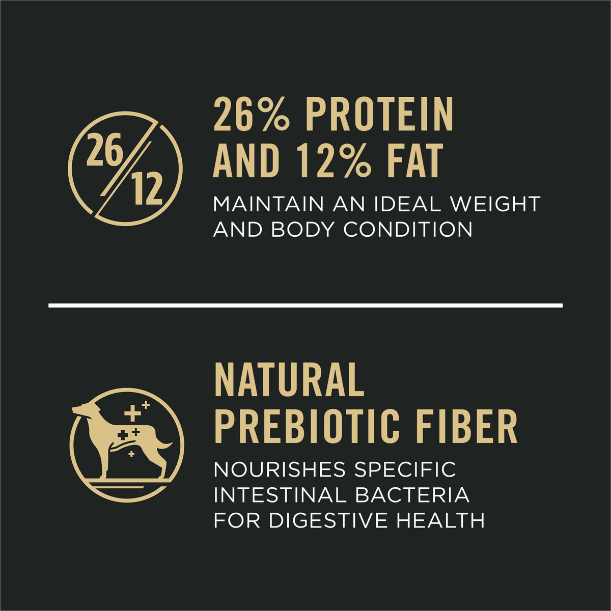 Chicken & Rice Dry Dog Food 34 lb Bag P357441
