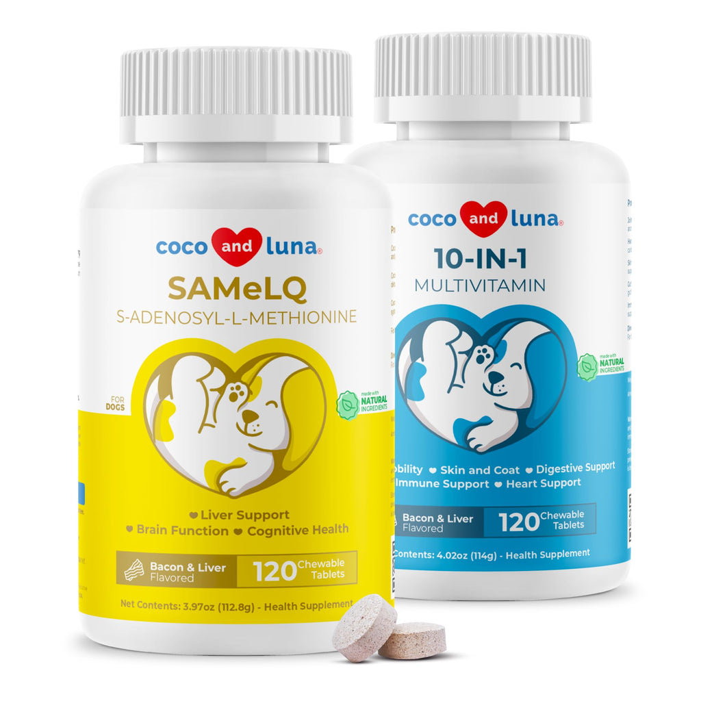 10 in 1 Multivitamin for Dogs W6684