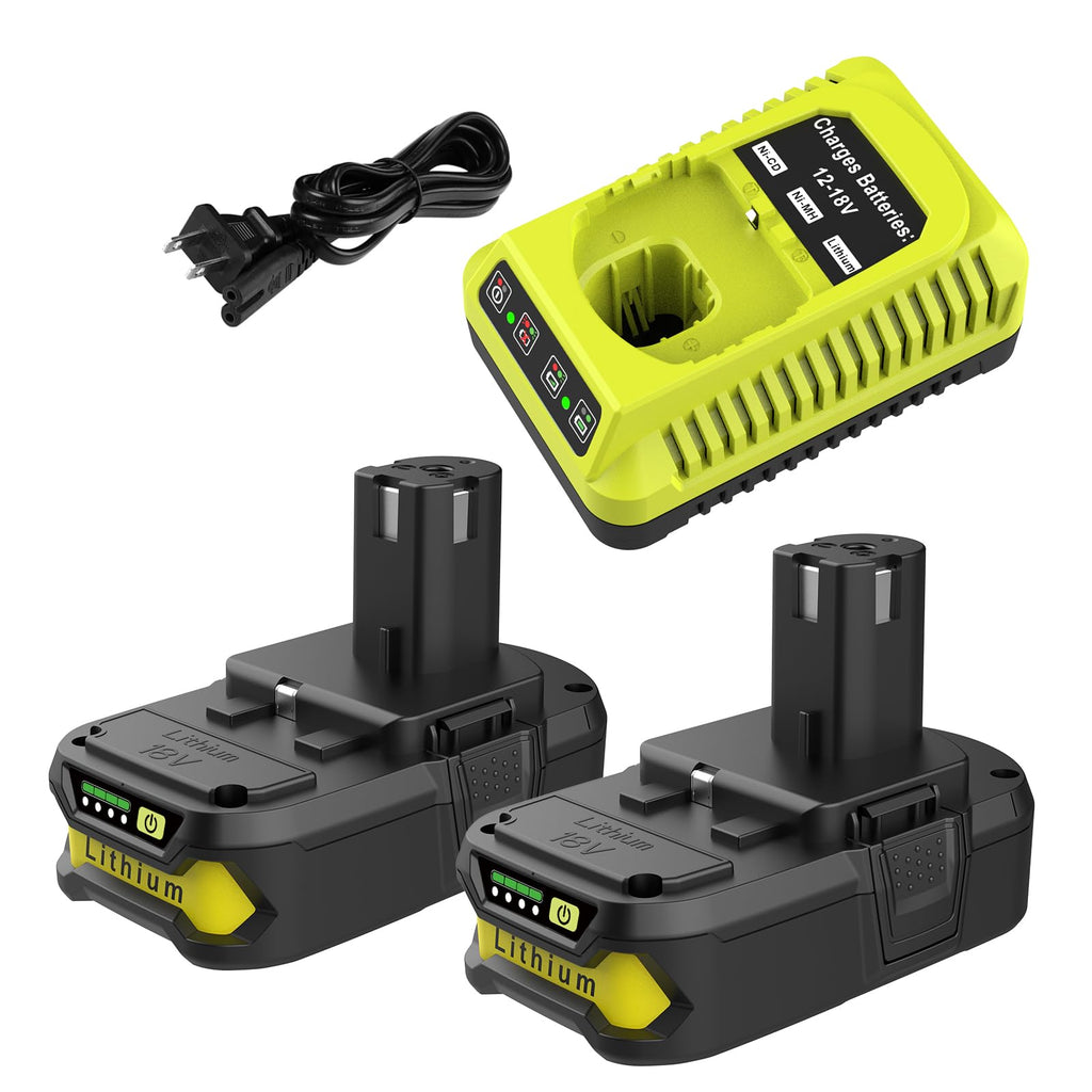 2Pack 4.0Ah Lithium Battery and Charger Combo L54194
