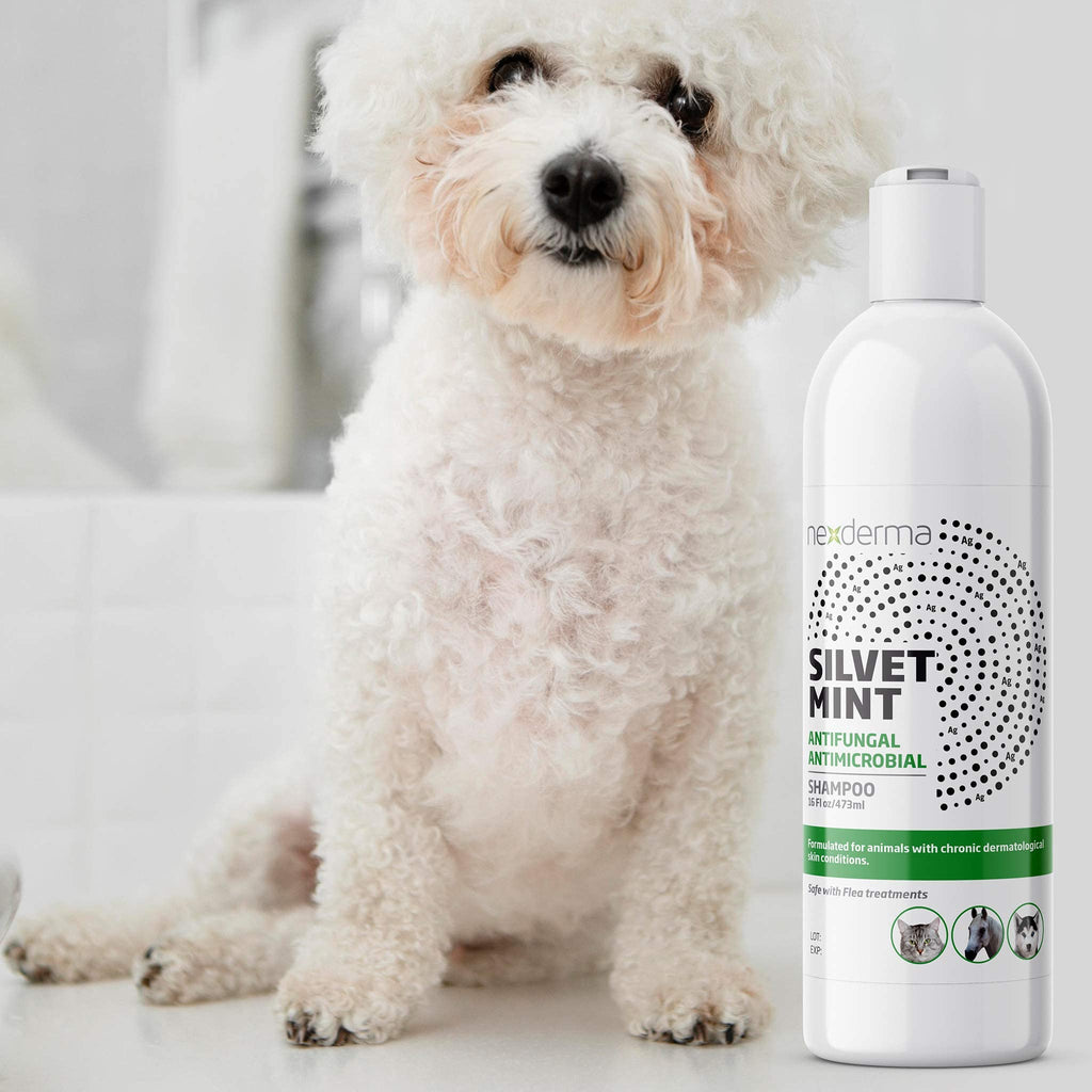 Tearless Hypoallergenic Coconut Oil Pet Shampoo 16oz Q83712