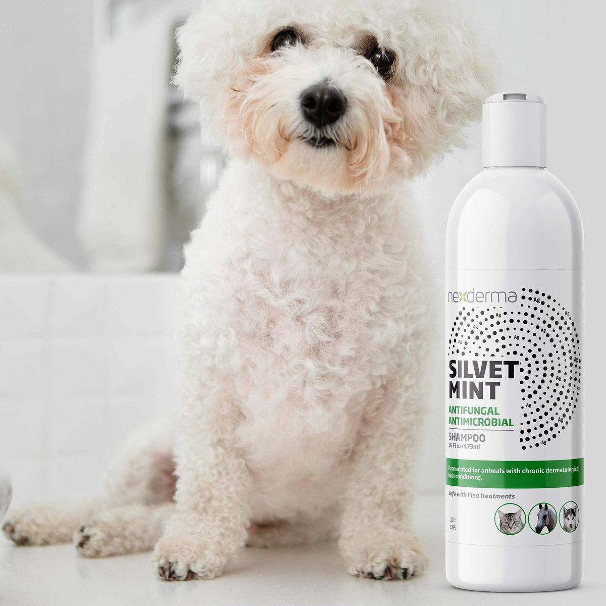 Tearless Hypoallergenic Coconut Oil Pet Shampoo 16oz Q83712