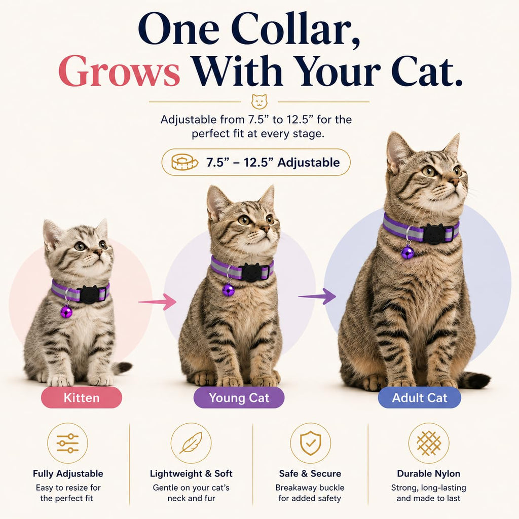 Reflective Breakaway Cat Collar with Bell 12-Pack U4687