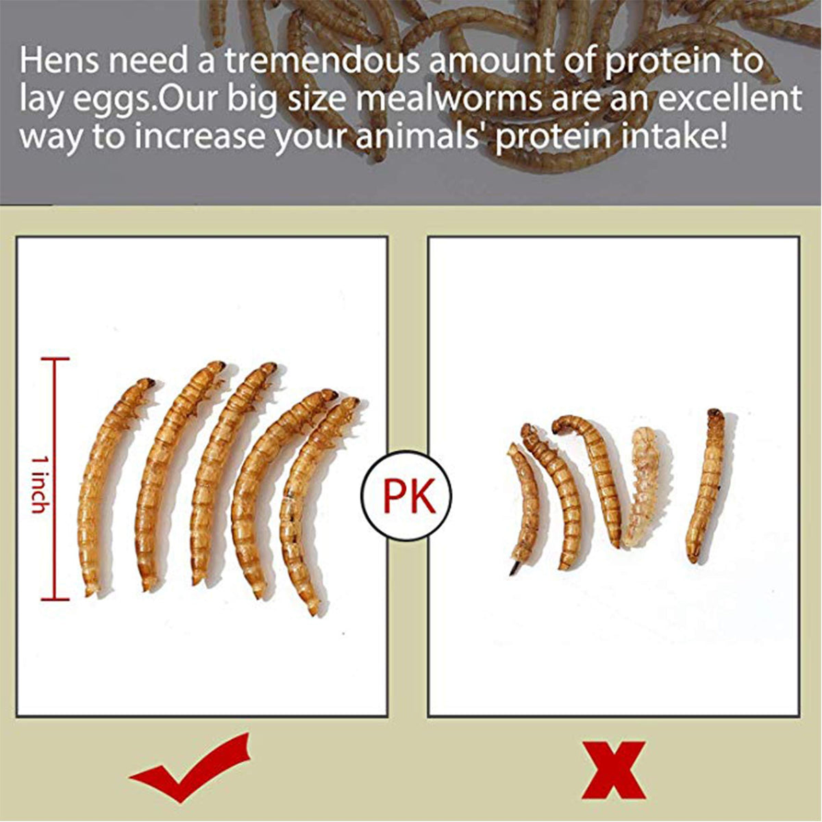 20 LBS Non-GMO Dried Mealworms D620458