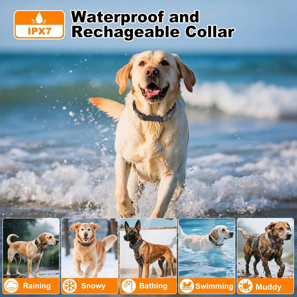 Wireless Electric Dog Fence I35295