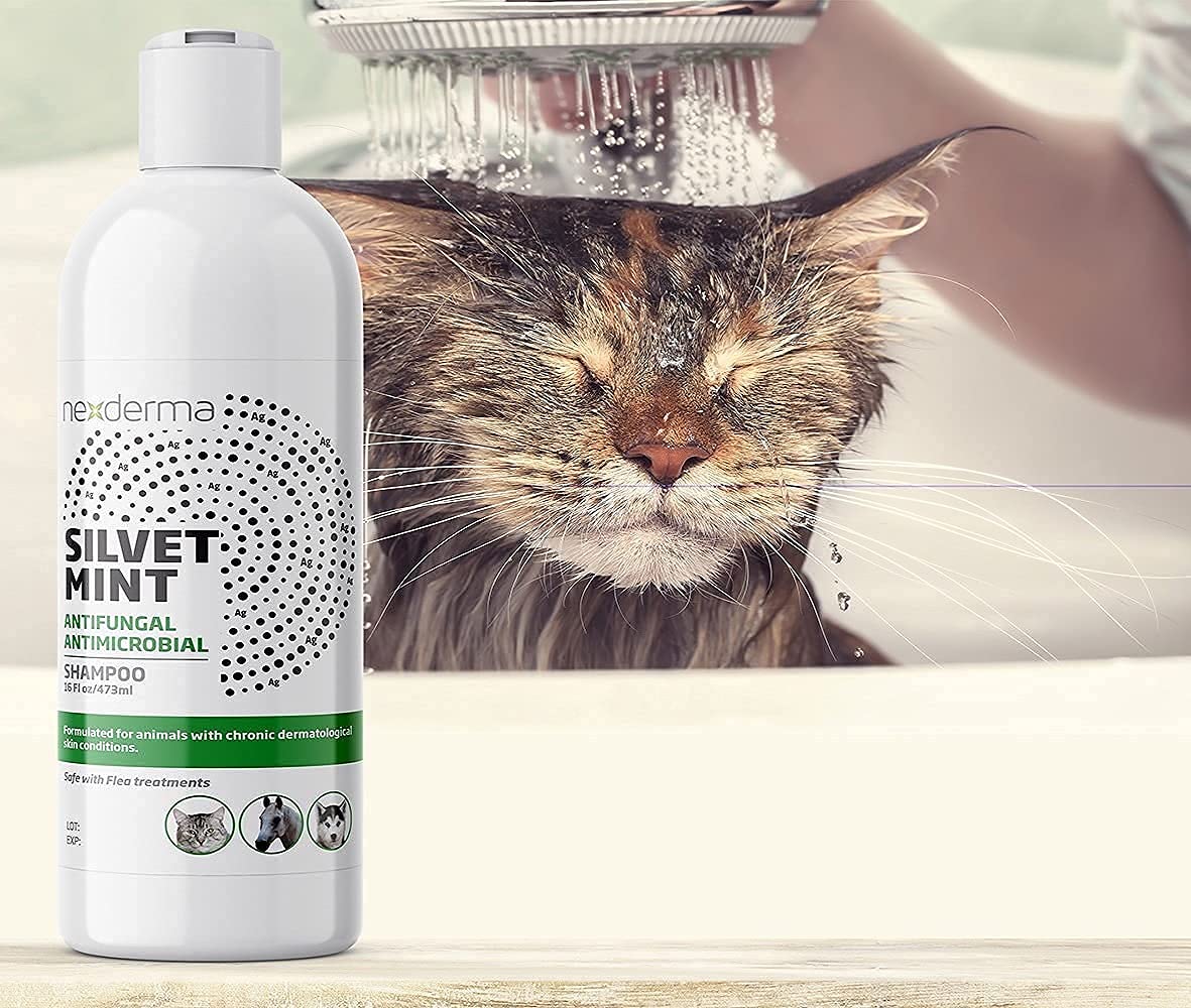 Tearless Hypoallergenic Coconut Oil Pet Shampoo 16oz Q83712
