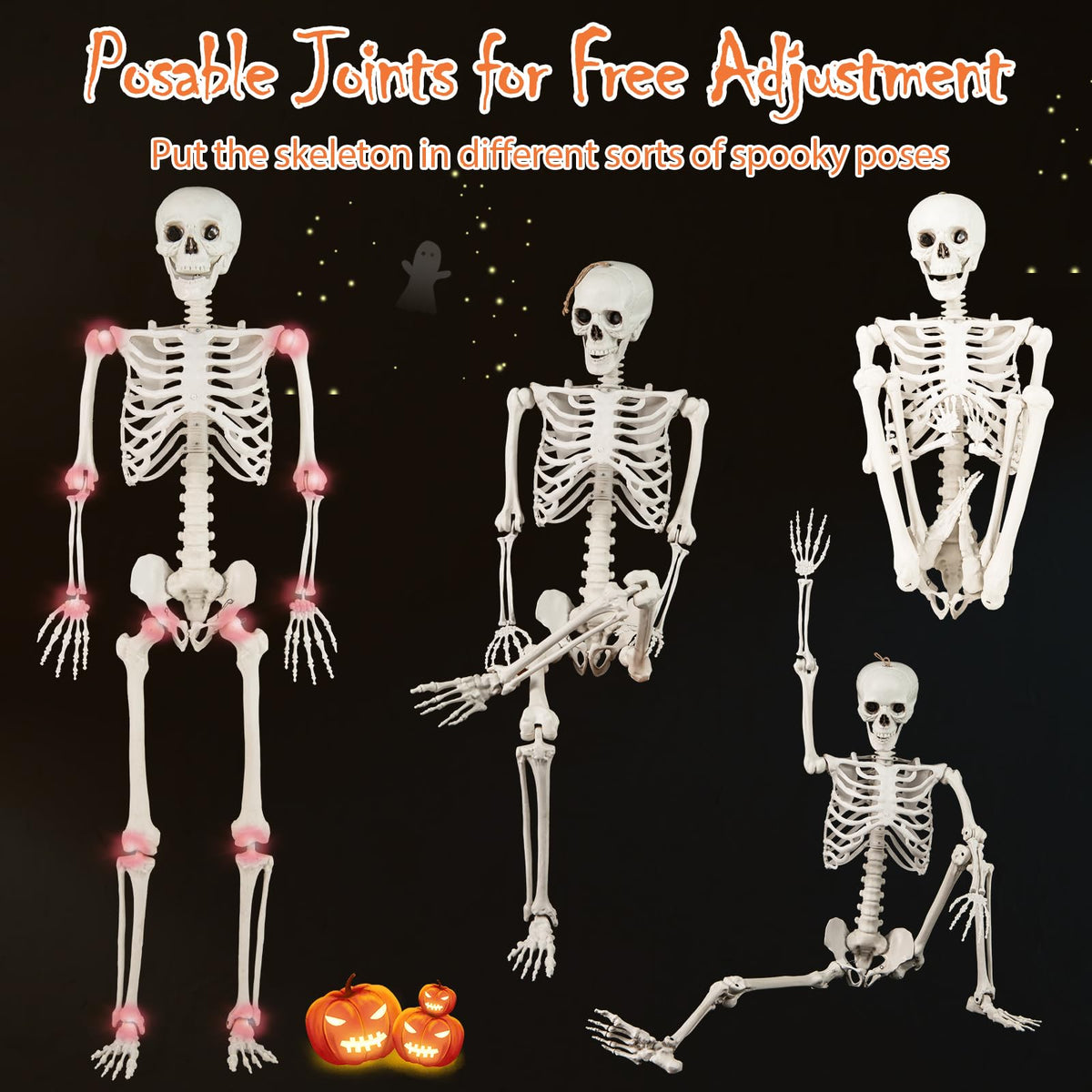 Life Size Posable Skeleton with Movable Joints S919