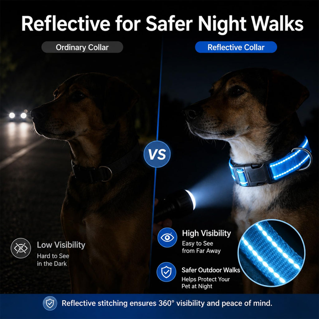 Adjustable Reflective Custom Dog Collar Y553954
