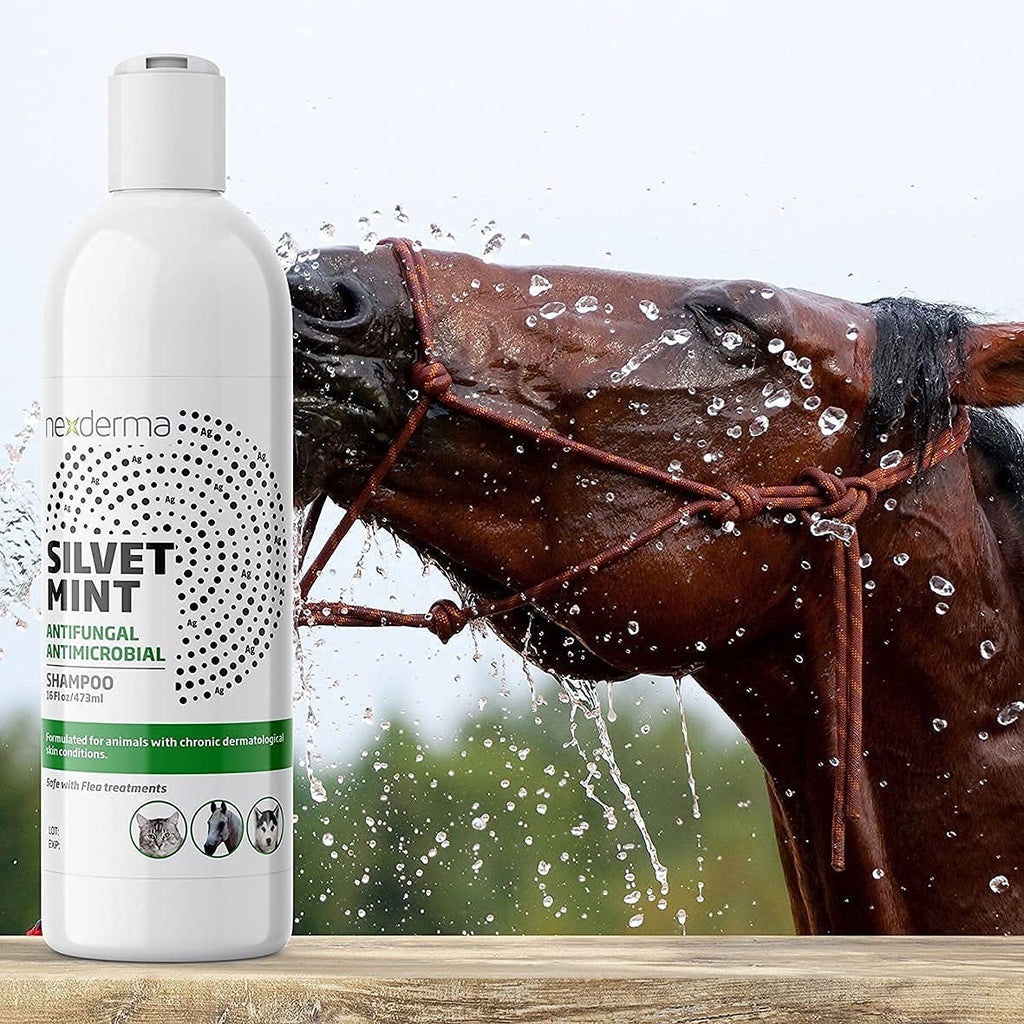 Tearless Hypoallergenic Coconut Oil Pet Shampoo 16oz Q83712
