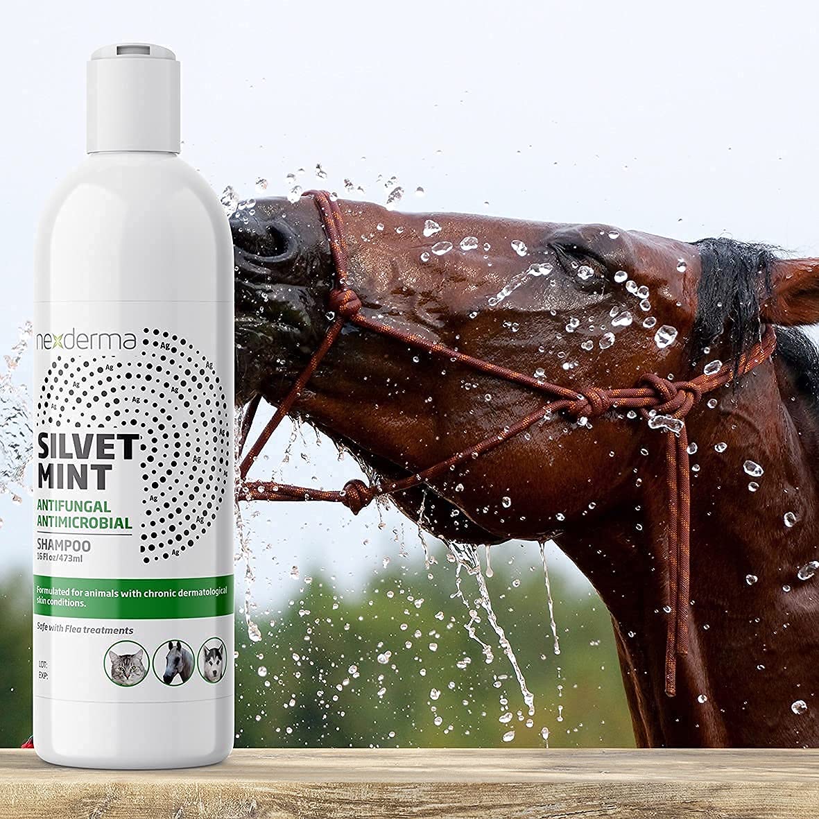 Tearless Hypoallergenic Coconut Oil Pet Shampoo 16oz Q83712