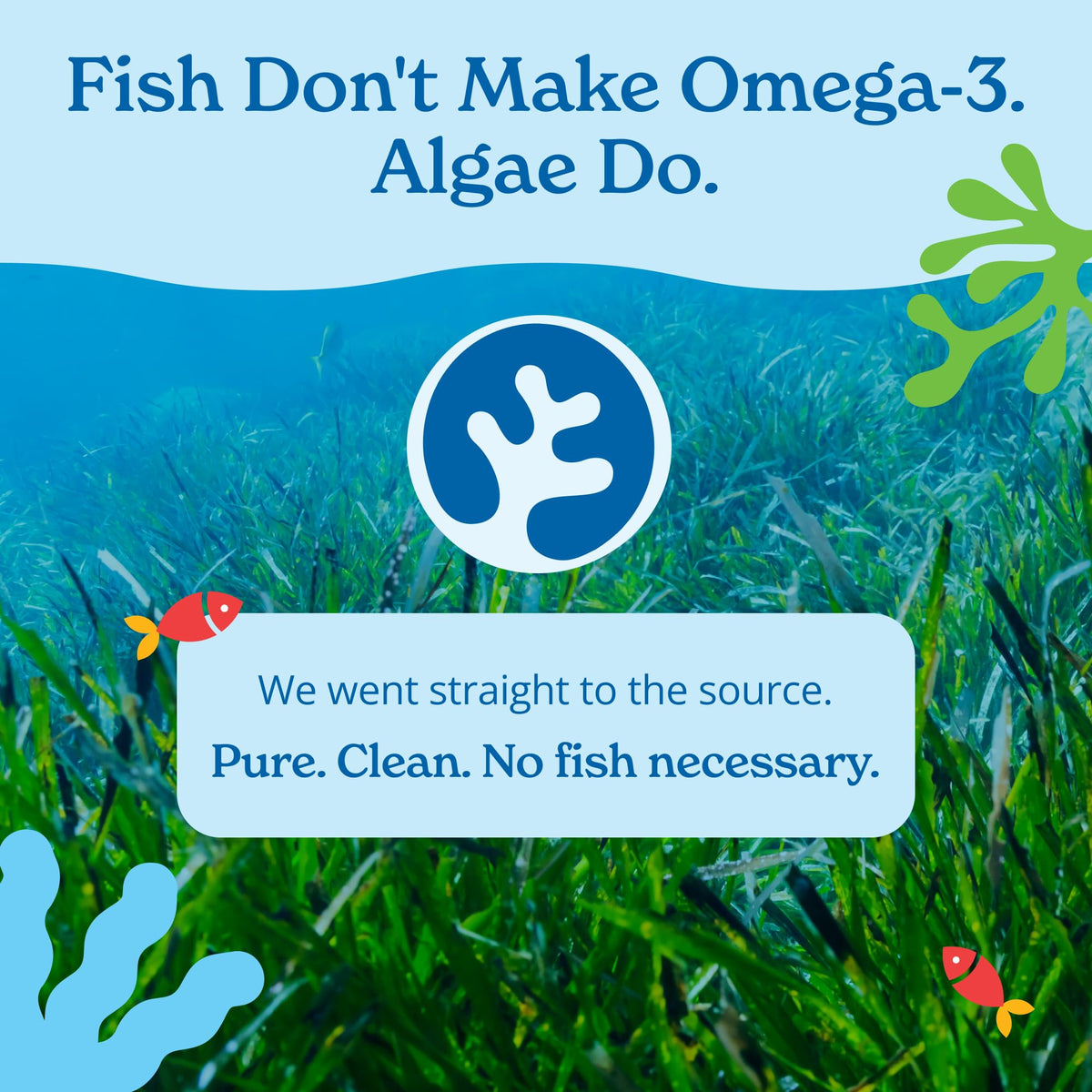 Vegan Omega 3 Algae Oil 120 Count Softgels H8045