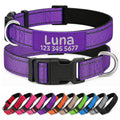 Adjustable Reflective Custom Dog Collar Y553954
