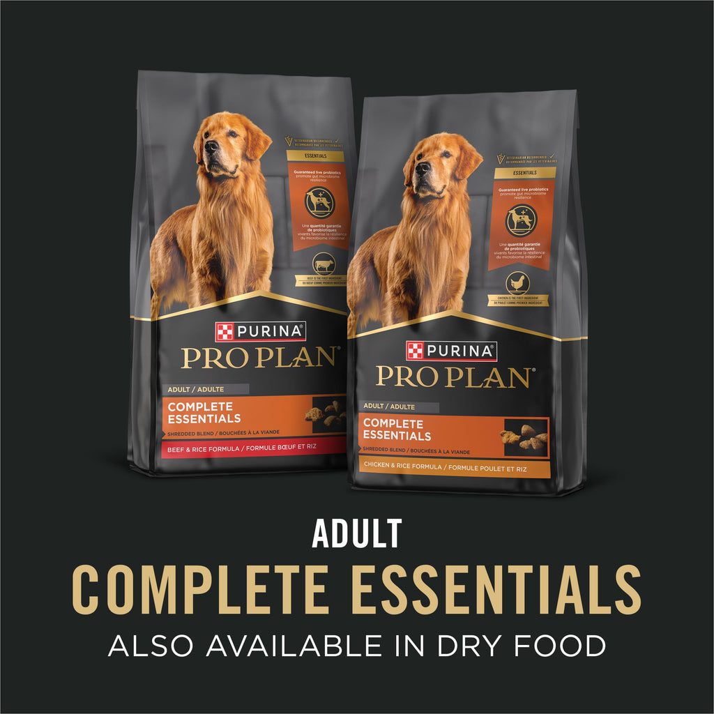 13 oz Wet Dog Food in Gravy X34986