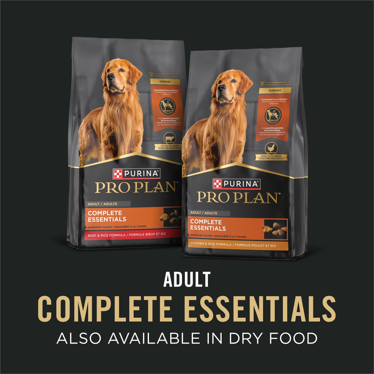 13 oz Wet Dog Food in Gravy X34986