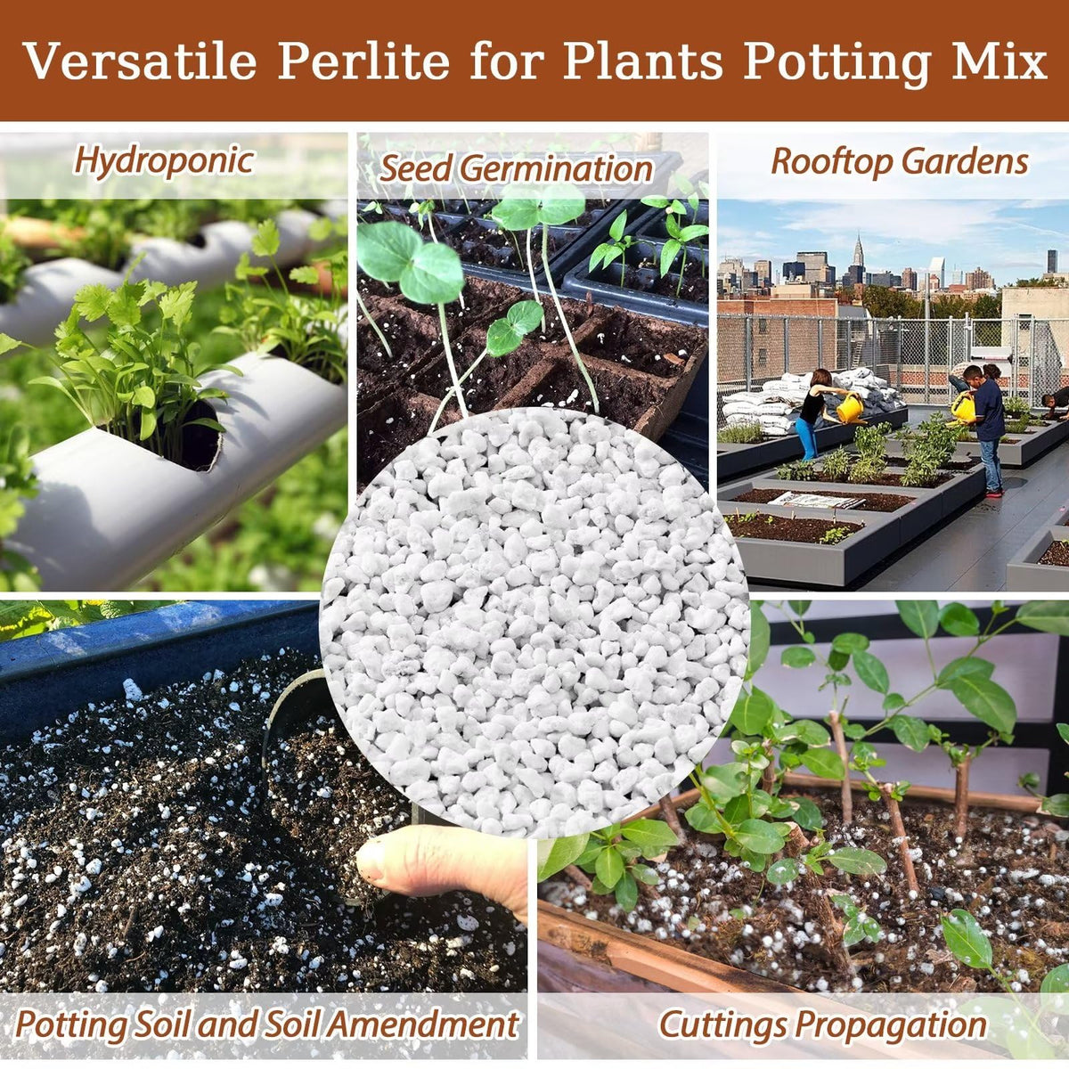 4QT Organic Horticultural Perlite Soil Amendment W988813