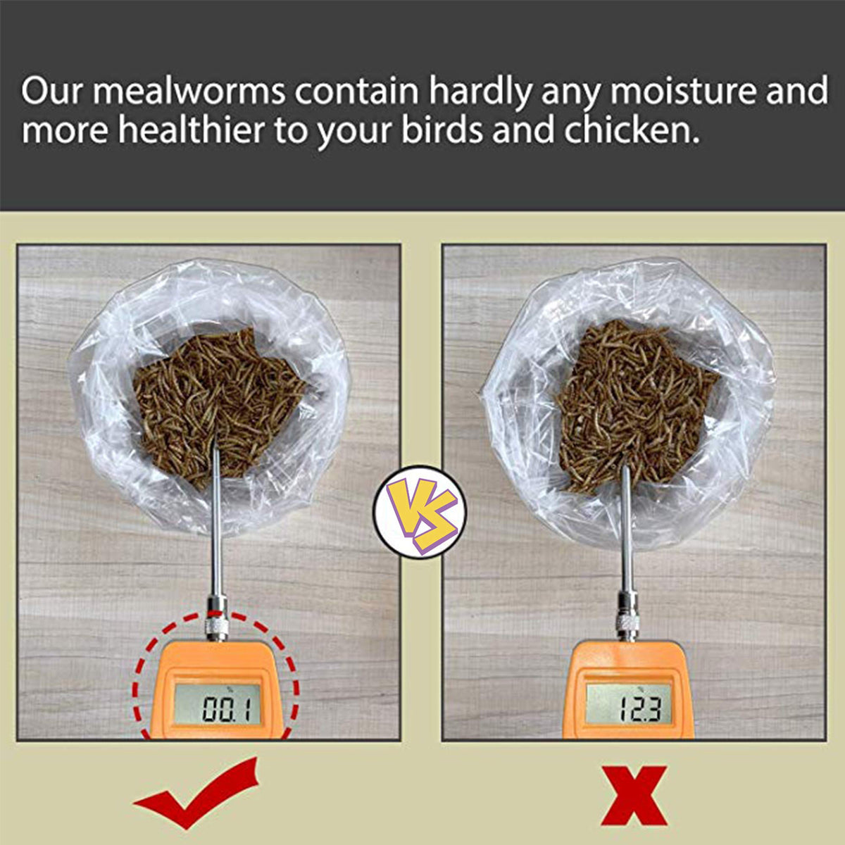 20 LBS Non-GMO Dried Mealworms D620458