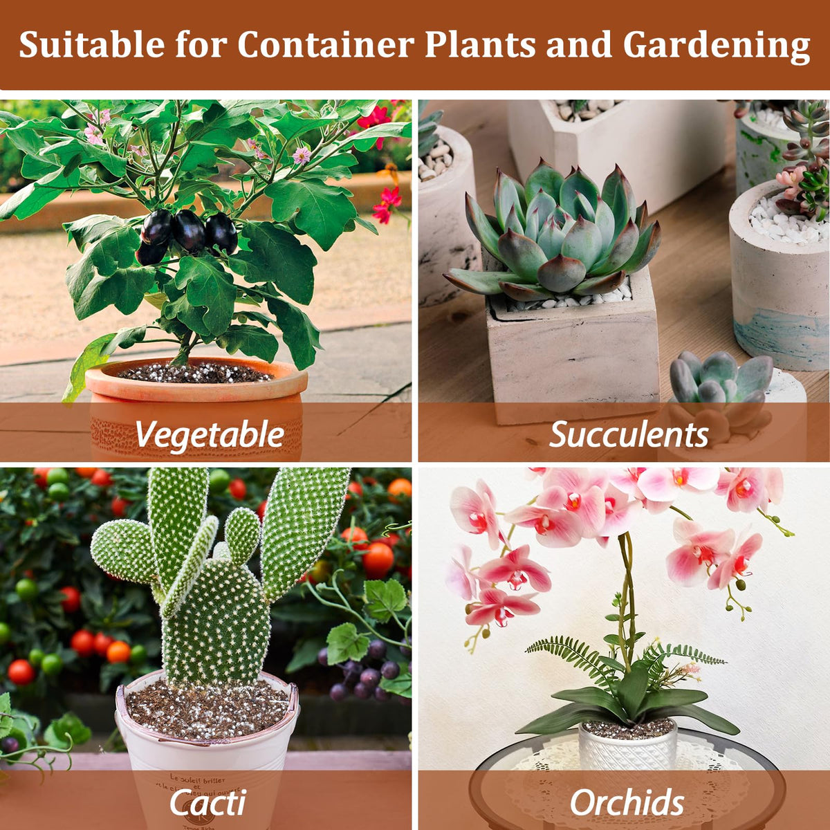 4QT Organic Horticultural Perlite Soil Amendment W988813