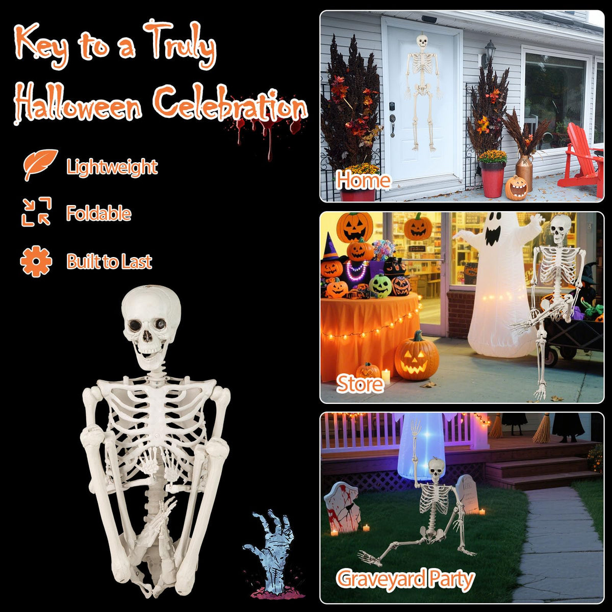 Life Size Posable Skeleton with Movable Joints S919