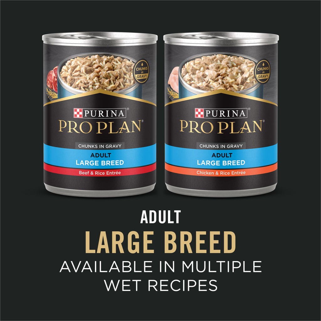 Chicken & Rice Dry Dog Food 34 lb Bag P357441