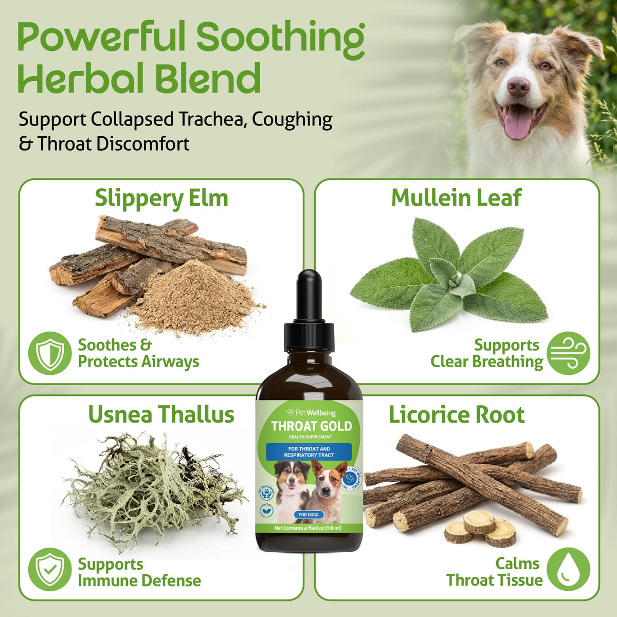 Throat Discomfort & Immune Care for Dogs, 4 oz G291