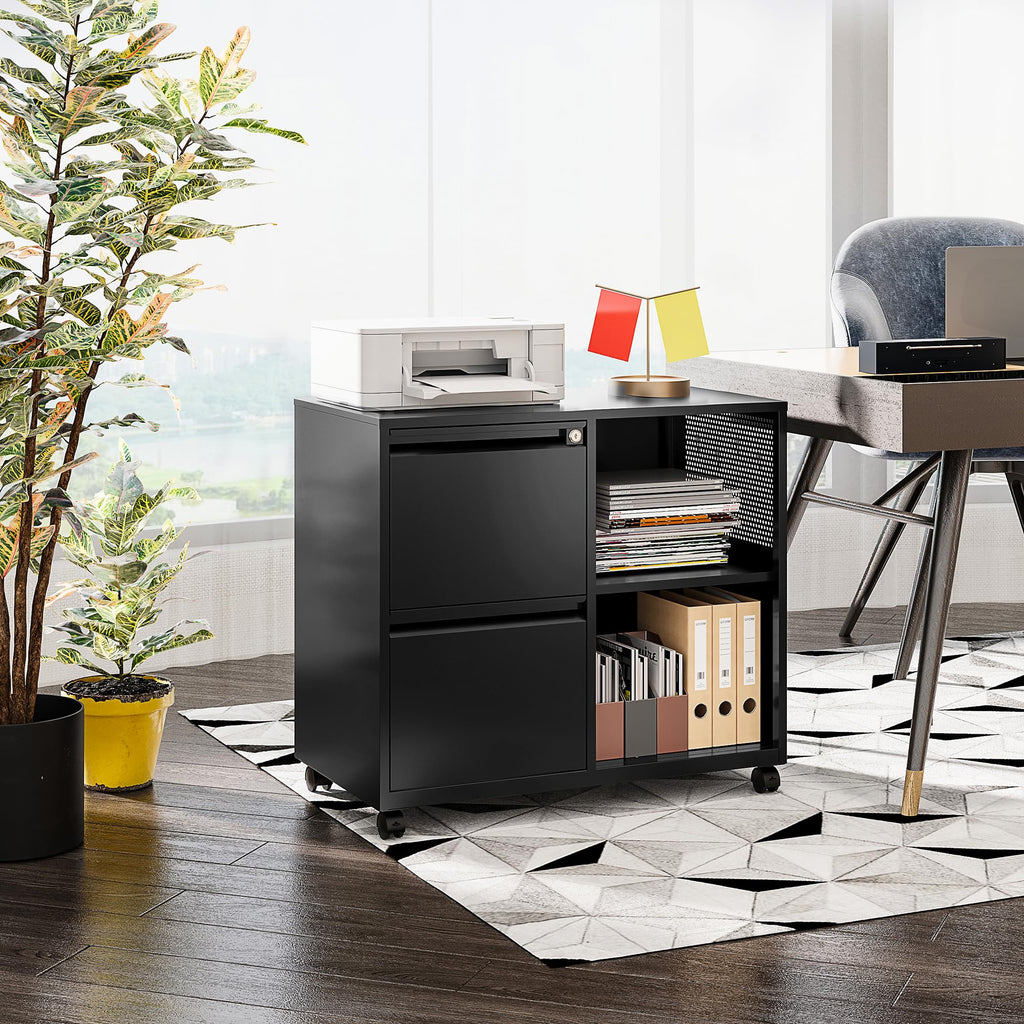 2 Drawer Metal File Cabinet with Lock and Shelf E10948